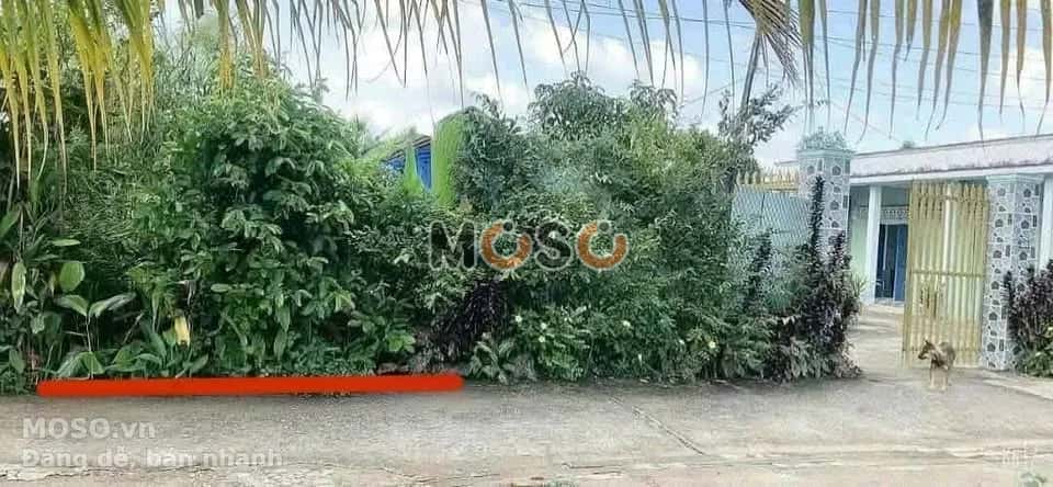 Bán đất hẻm Bùi Tấn  Thành phố Tân An, Long An – giá 600 triệu - ảnh 1