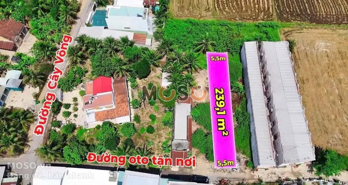 Bán đất đường Cây Vông Huyện Diên Khánh, Khánh Hòa – giá 1.3 tỷ - ảnh 2