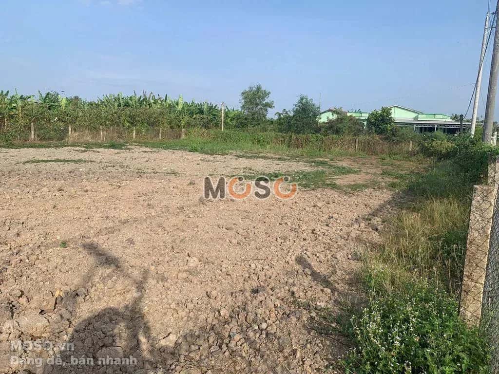 Bán đất Huyện Cần Giuộc, Long An – giá 1.1 tỷ - ảnh 5