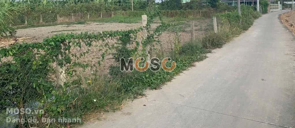 Bán đất Huyện Cần Giuộc, Long An – giá 1.1 tỷ - ảnh 3