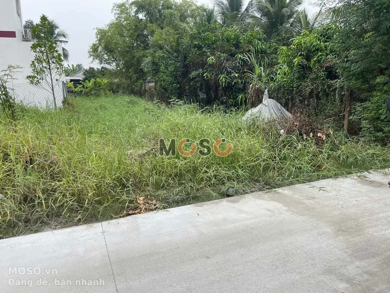 Bán đất Ấp Phước Vĩnh Huyện Cần Đước, Long An – giá 1.9 tỷ - ảnh 1