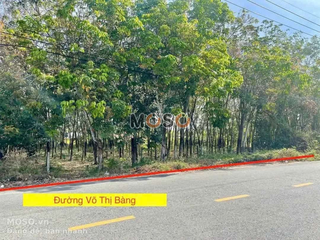 Bán đất Võ Thị Bàng Huyện Củ Chi, TP.HCM – giá 4.2 tỷ - ảnh 1