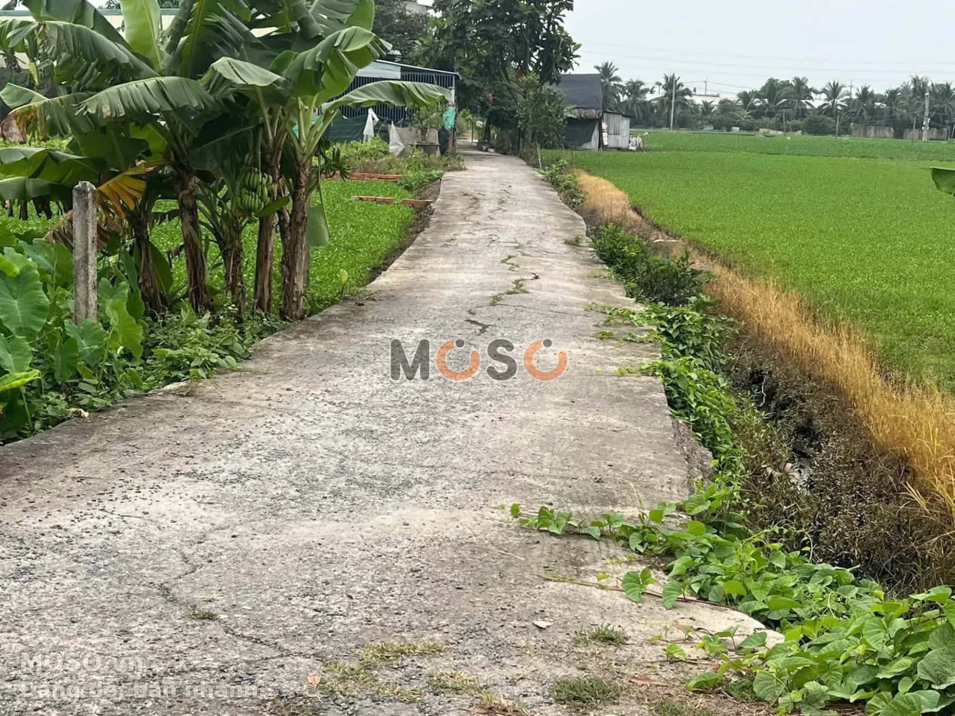 Bán đất đường Cầu Nhà Vuông Huyện Củ Chi, TP.HCM – giá 3.1 tỷ - ảnh 3