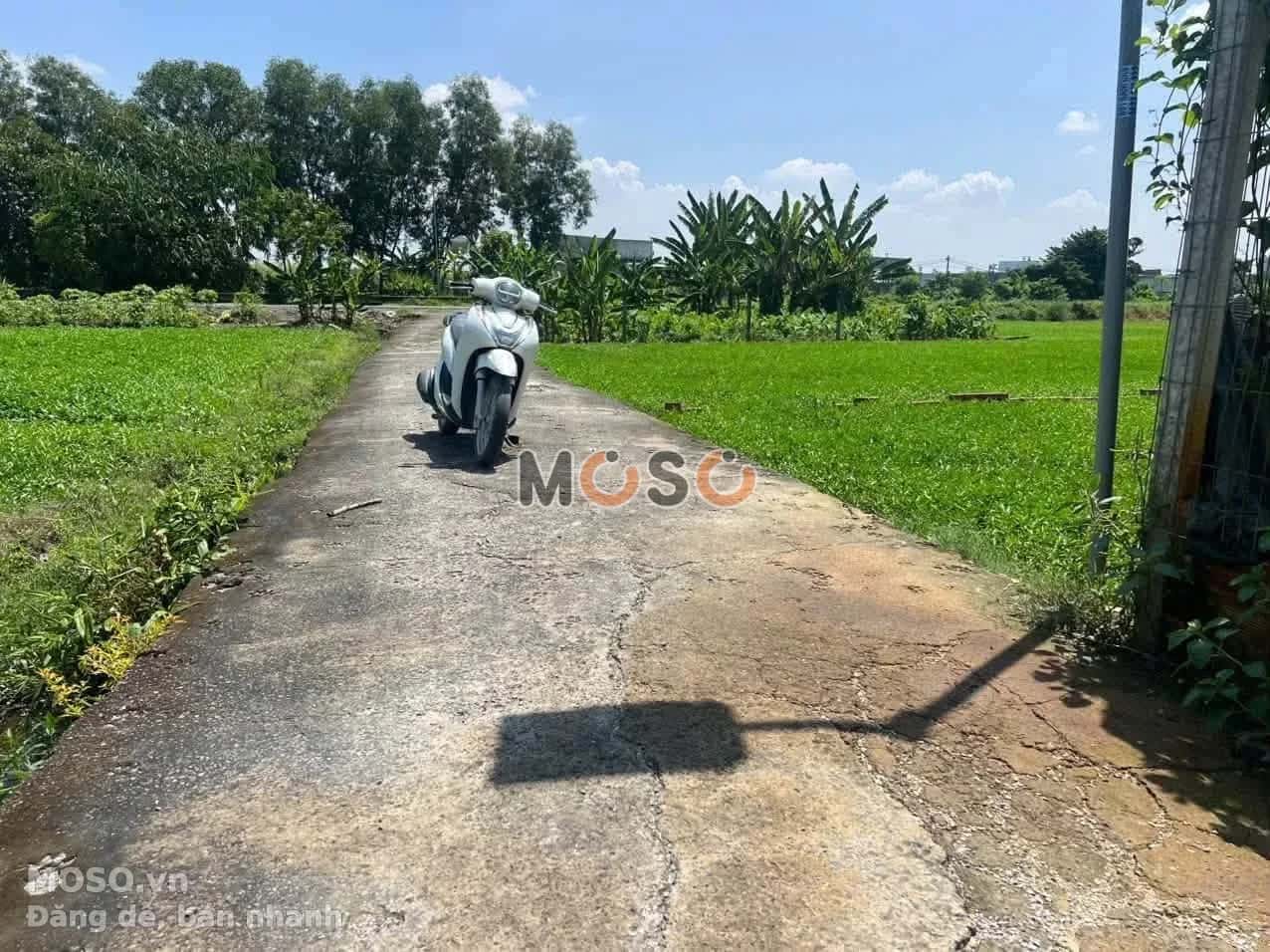 Bán đất đường Cầu Nhà Vuông Huyện Củ Chi, TP.HCM – giá 3.1 tỷ - ảnh 4