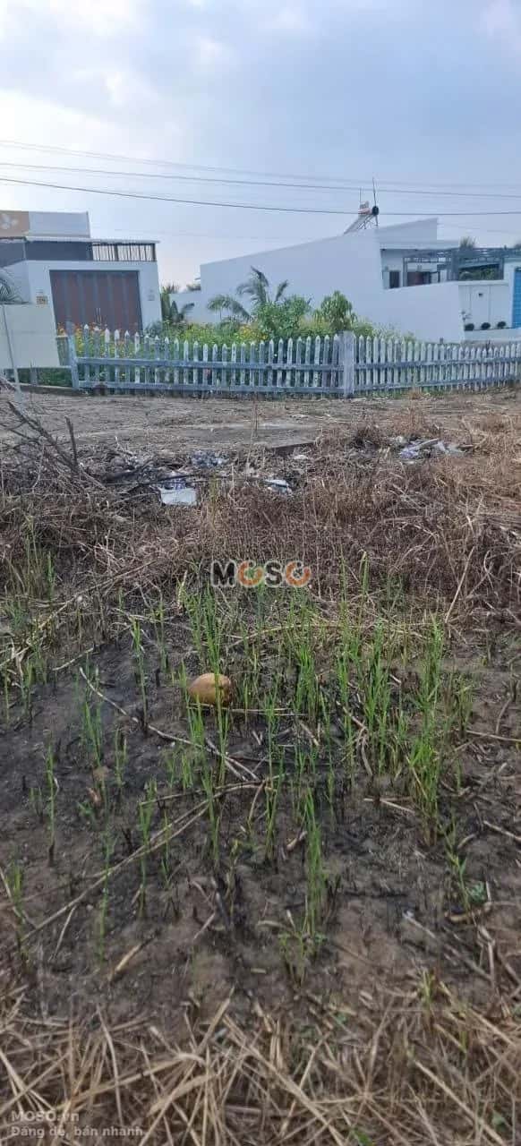 Bán đất đường N7, ấp Bình Phong  Thành phố Mỹ Tho, Tiền Giang – giá 850 triệu - ảnh 2