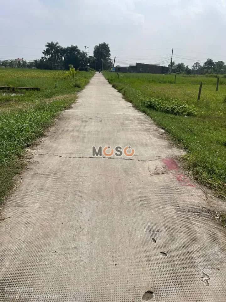Bán đất Nhánh đường N2 ( DT825) Huyện Đức Hòa, Long An – giá 650 triệu - ảnh 2