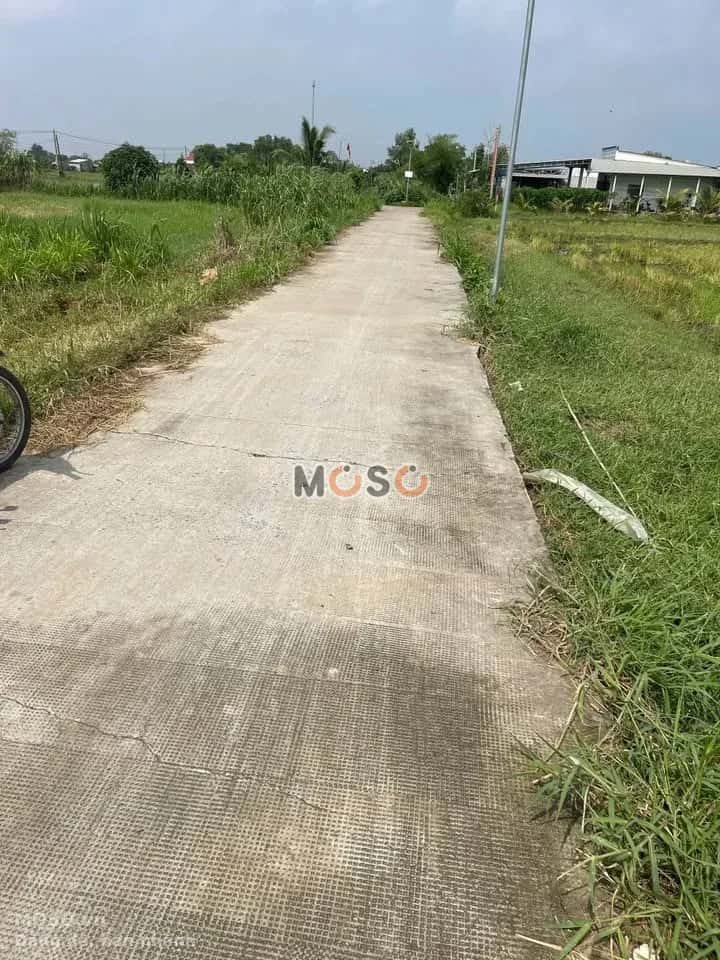 Bán đất Nhánh đường N2 ( DT825) Huyện Đức Hòa, Long An – giá 650 triệu - ảnh 3