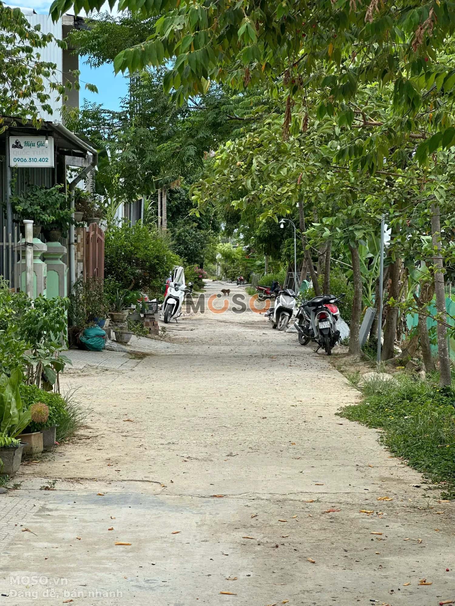 Bán đất Thôn Phú Khê Quận Thuận Hóa, TP. Huế – giá 1.7 tỷ - ảnh 5