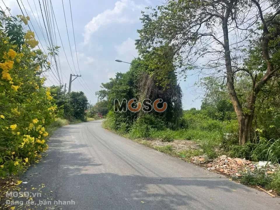 Bán đất đường ĐX 041 Thành phố Thủ Dầu Một, Bình Dương – giá 2.9 tỷ - ảnh 3