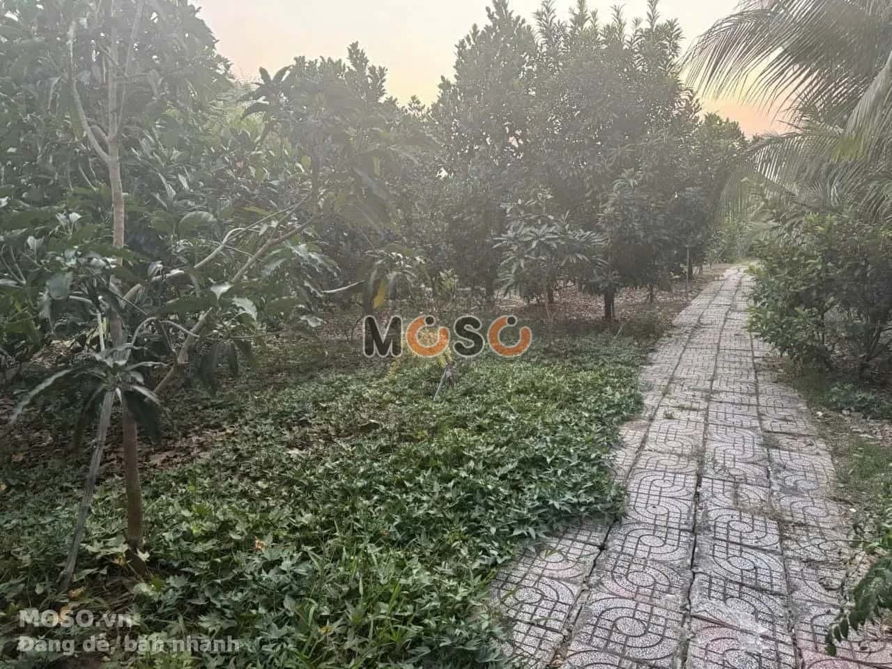 Bán đất hẻm đường Đào Sư Tích  Huyện Nhà Bè, TP.HCM – giá 30 tỷ - ảnh 2