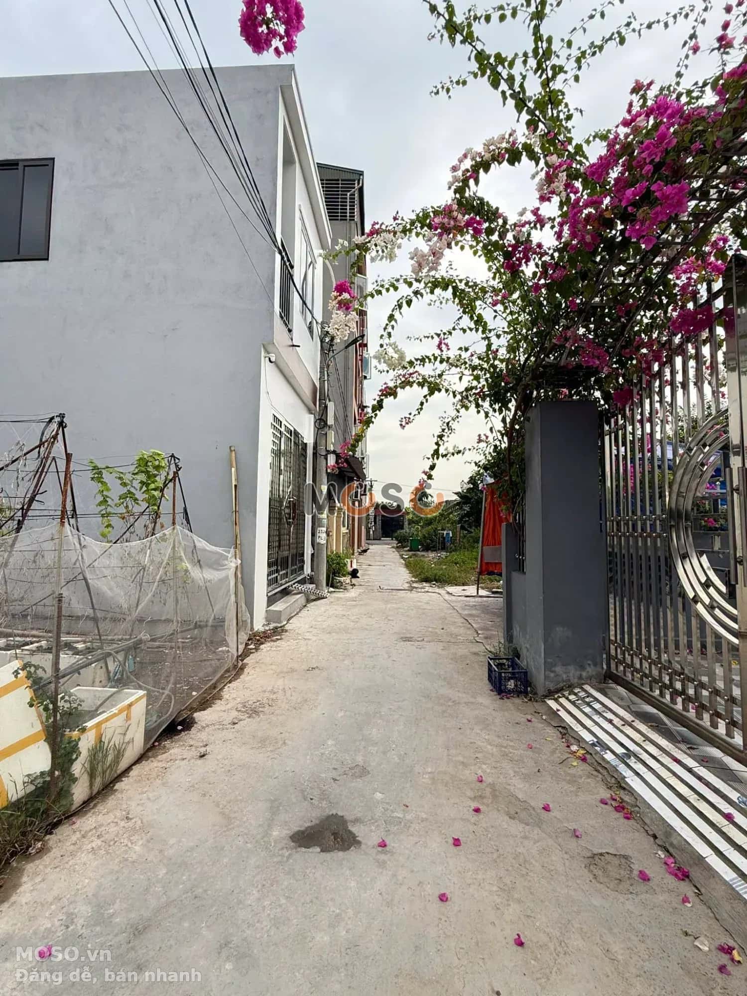 Bán đất Phạm Gia Mô Quận Dương Kinh, TP. Hải Phòng – giá 1.6 tỷ - ảnh 2