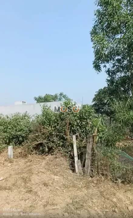 Bán đất Thôn Phú Thượng Huyện Hòa Vang, TP. Đà Nẵng – giá 850 triệu - ảnh 3