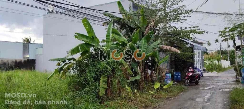 Bán đất Trần Thị Trò Huyện Củ Chi, TP.HCM – giá 2.9 tỷ - ảnh 1