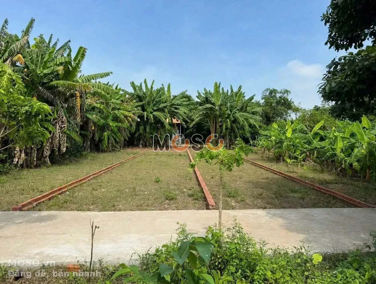 Bán đất Huỳnh Thị Luông Huyện Cần Giuộc, Long An – giá 750 triệu - ảnh 1