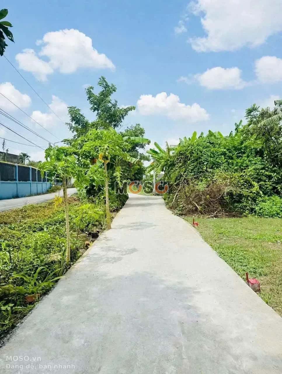 Bán đất Huỳnh Thị Luông Huyện Cần Giuộc, Long An – giá 750 triệu - ảnh 3