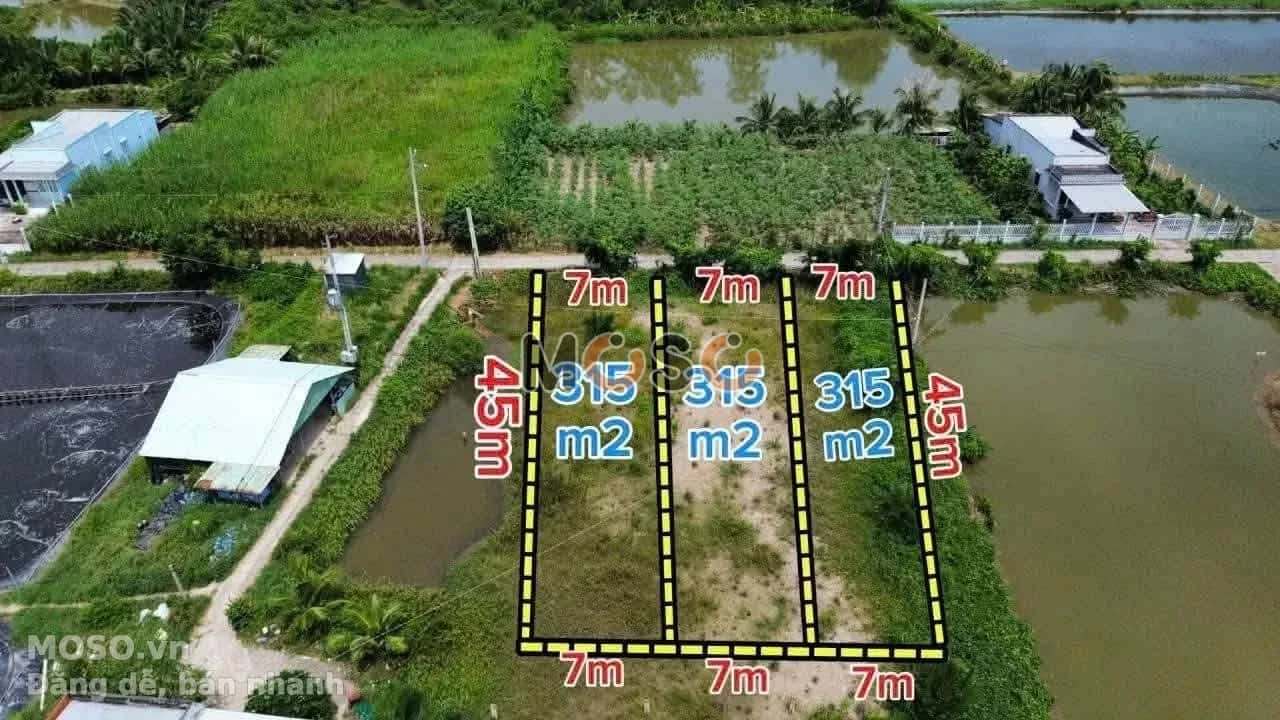 Bán đất Ấp 3 Huyện Cần Đước, Long An – giá 1.5 tỷ - ảnh 1