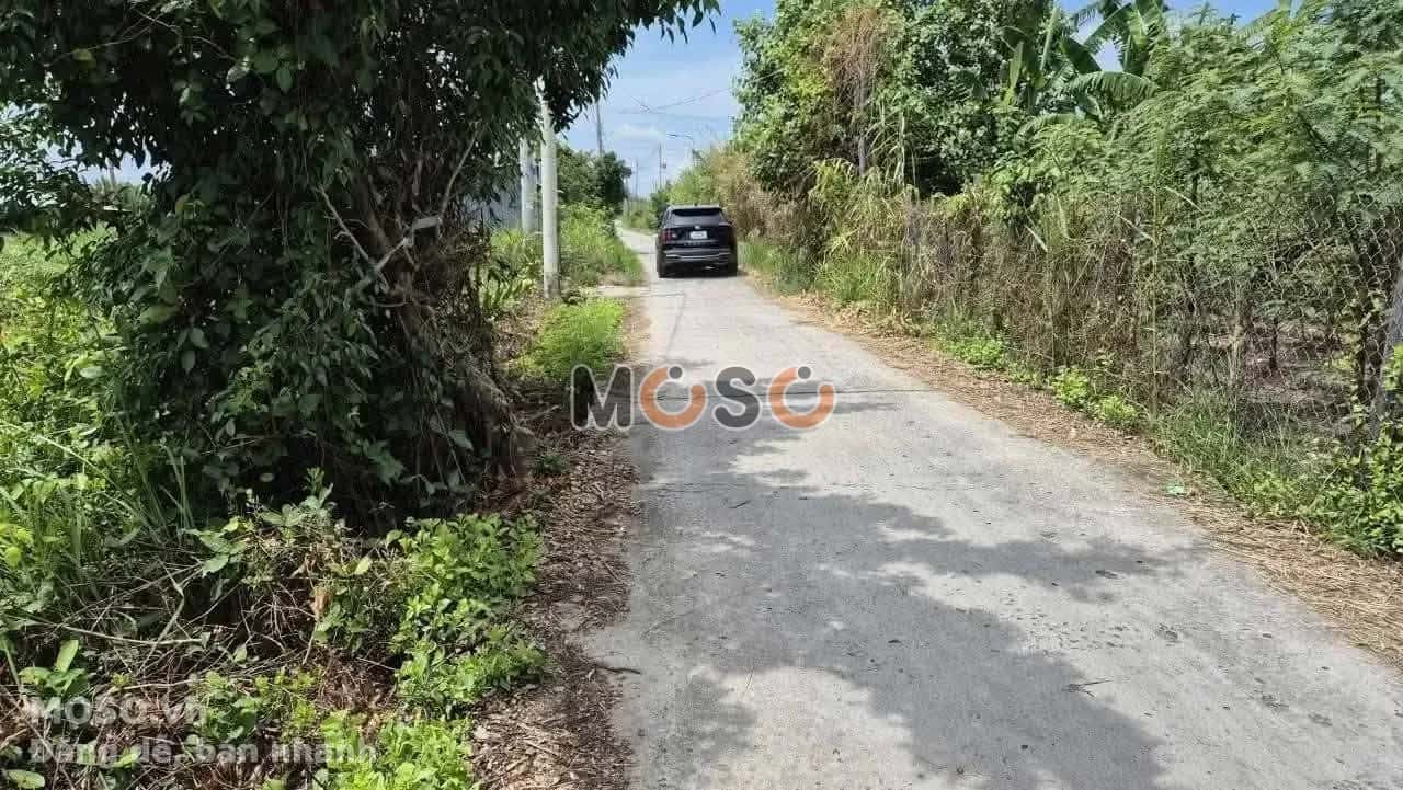 Bán đất Ấp 3 Huyện Cần Đước, Long An – giá 1.5 tỷ - ảnh 2