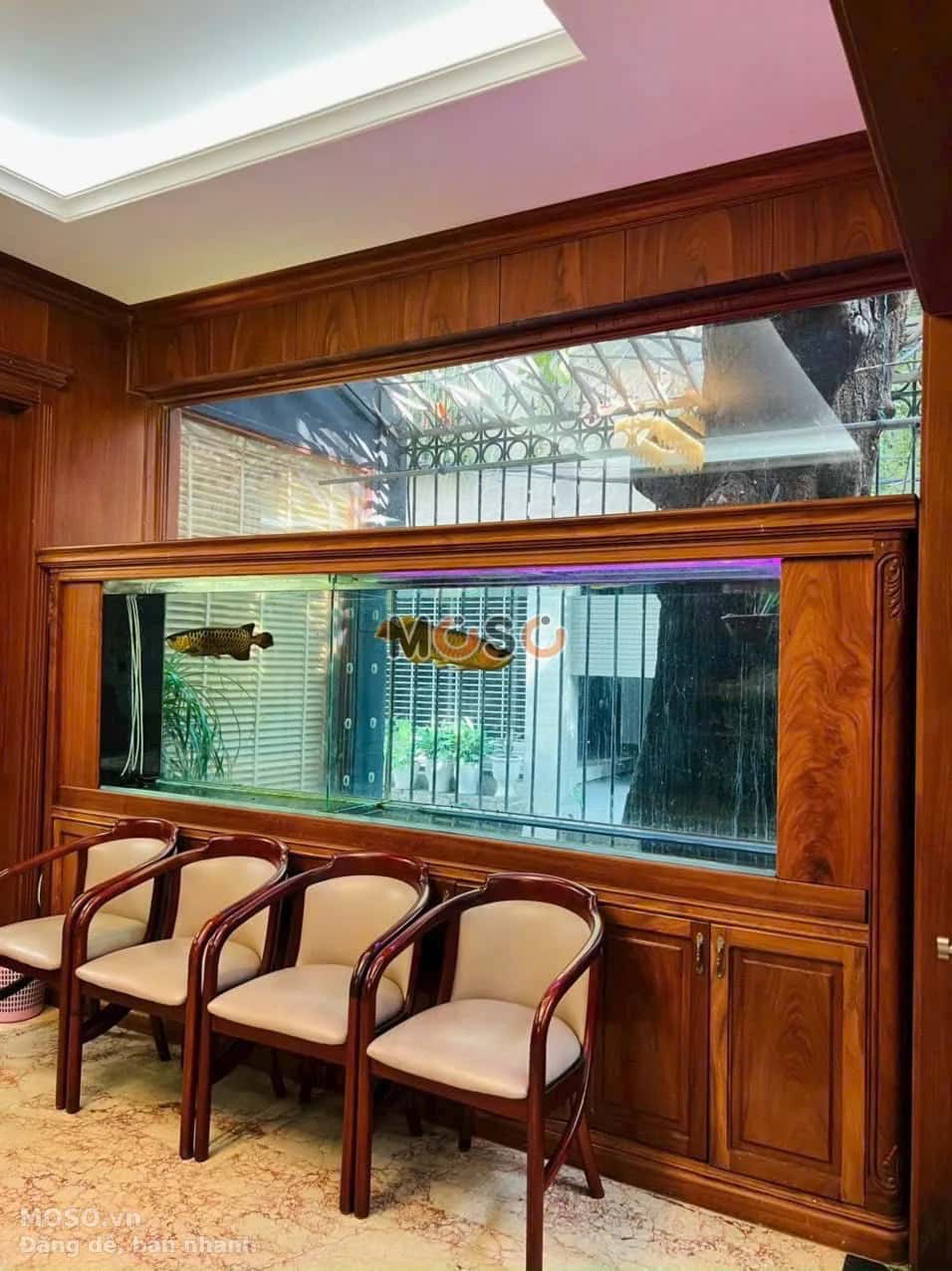 Bán nhà mặt tiền Pasteur Quận 3, TP.HCM – giá 43 tỷ - ảnh 4