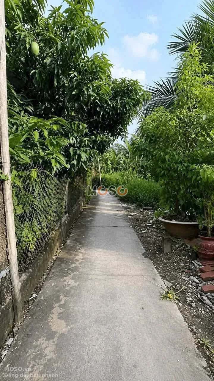 Bán đất hẻm Lê Văn Tưởng Thành phố Tân An, Long An – giá 900 triệu - ảnh 3