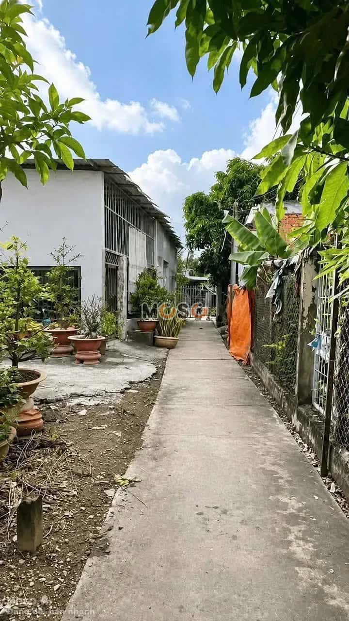 Bán đất hẻm Lê Văn Tưởng Thành phố Tân An, Long An – giá 900 triệu - ảnh 2