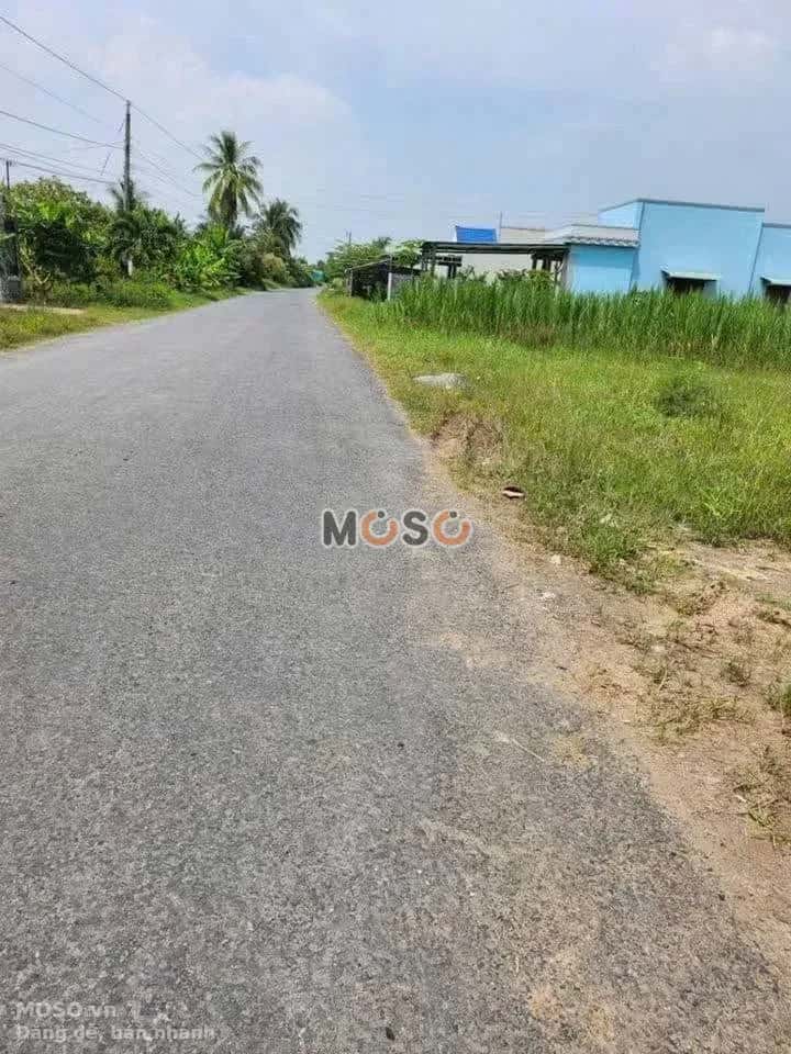 Bán đất Lộ Đình Huyện Gò Công Tây, Tiền Giang – giá 550 triệu - ảnh 3