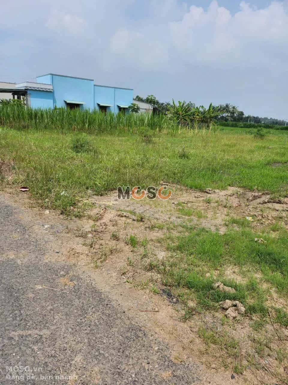Bán đất Lộ Đình Huyện Gò Công Tây, Tiền Giang – giá 550 triệu - ảnh 1