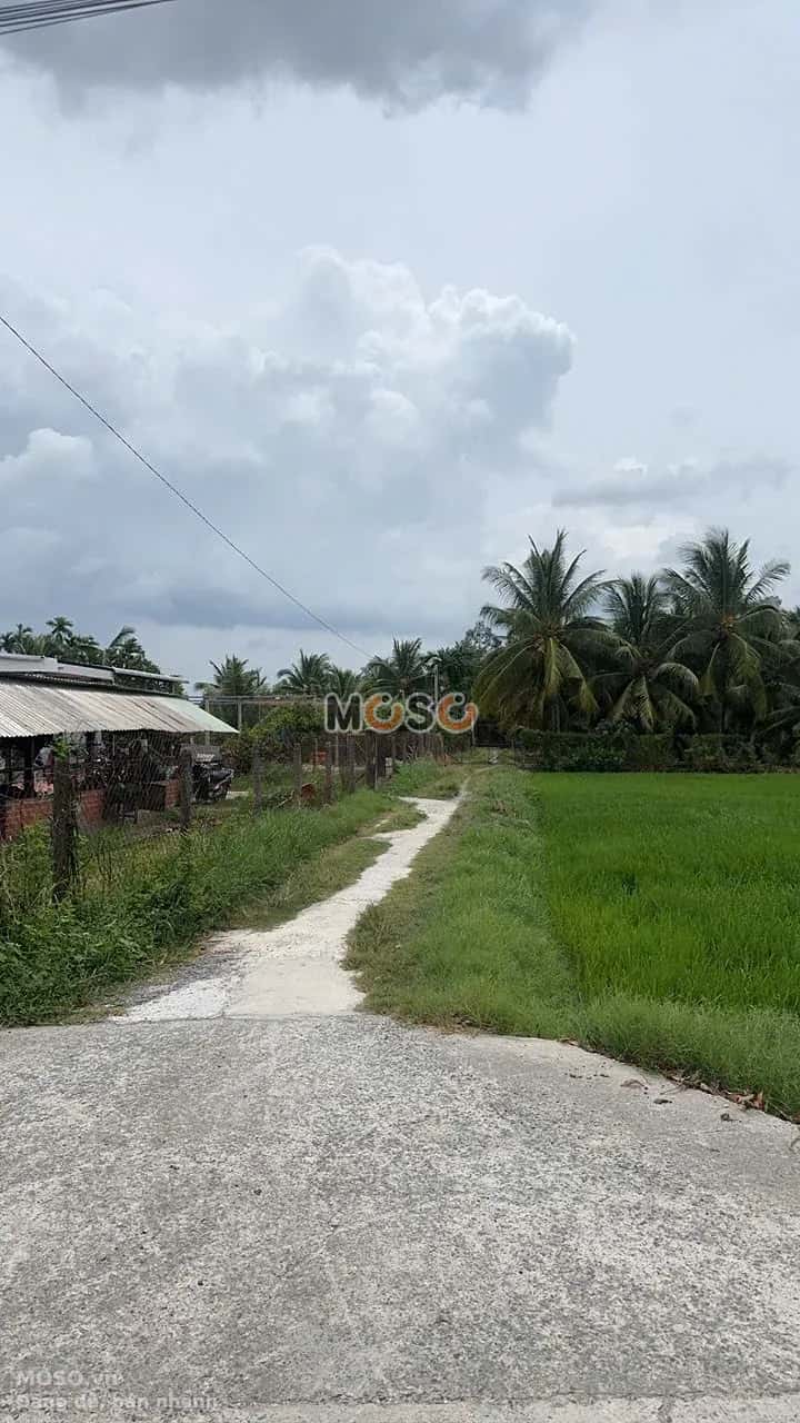 Bán đất hẻm đường Võ Văn Điều Huyện Củ Chi, TP.HCM – giá 1 tỷ - ảnh 4