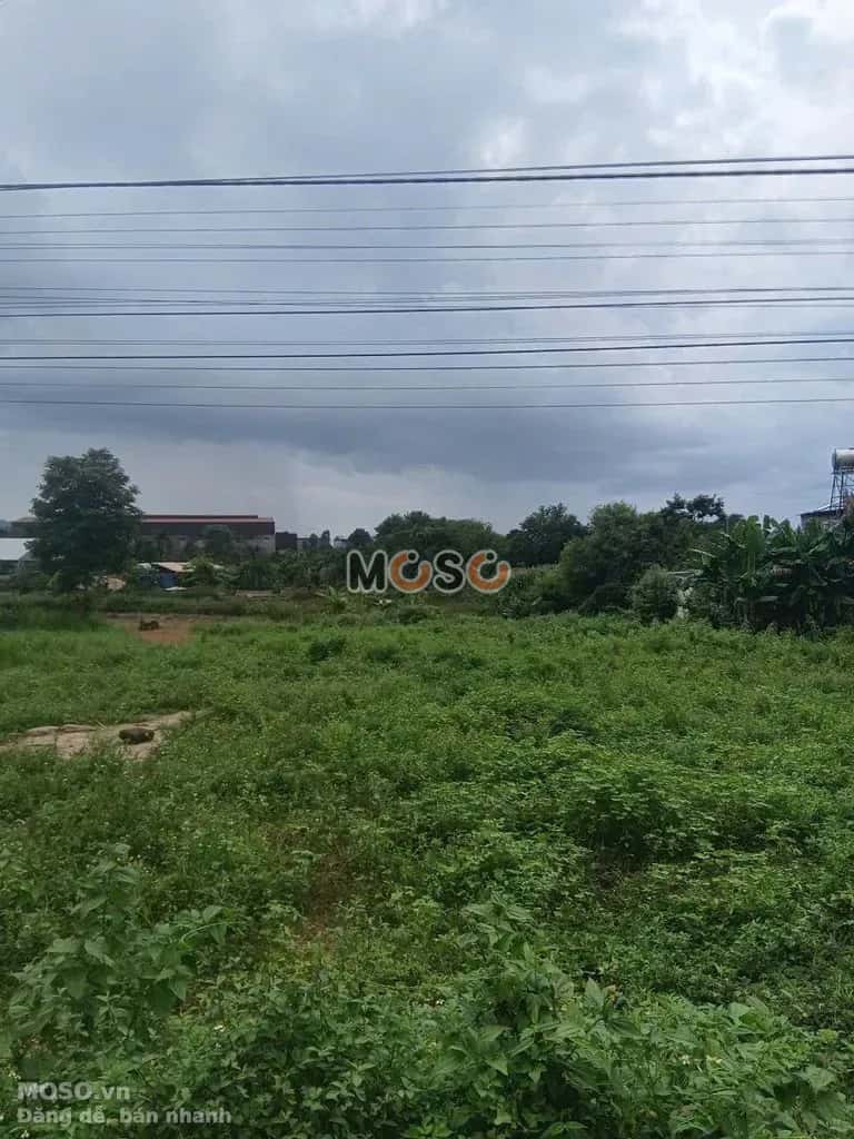 Bán đất Thôn 12, nhánh QL14 Huyện Cư Jút, Đắk Nông – giá 3.5 tỷ - ảnh 1
