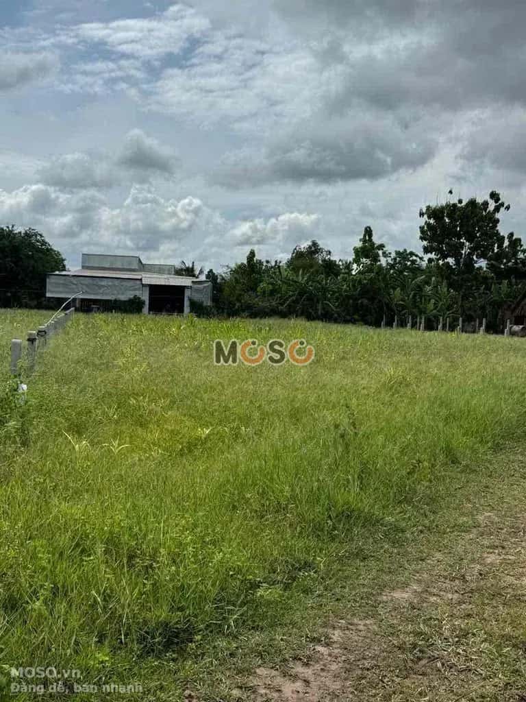 Bán đất Ấp Bến Long Huyện Đức Hòa, Long An – giá 5.8 tỷ - ảnh 1