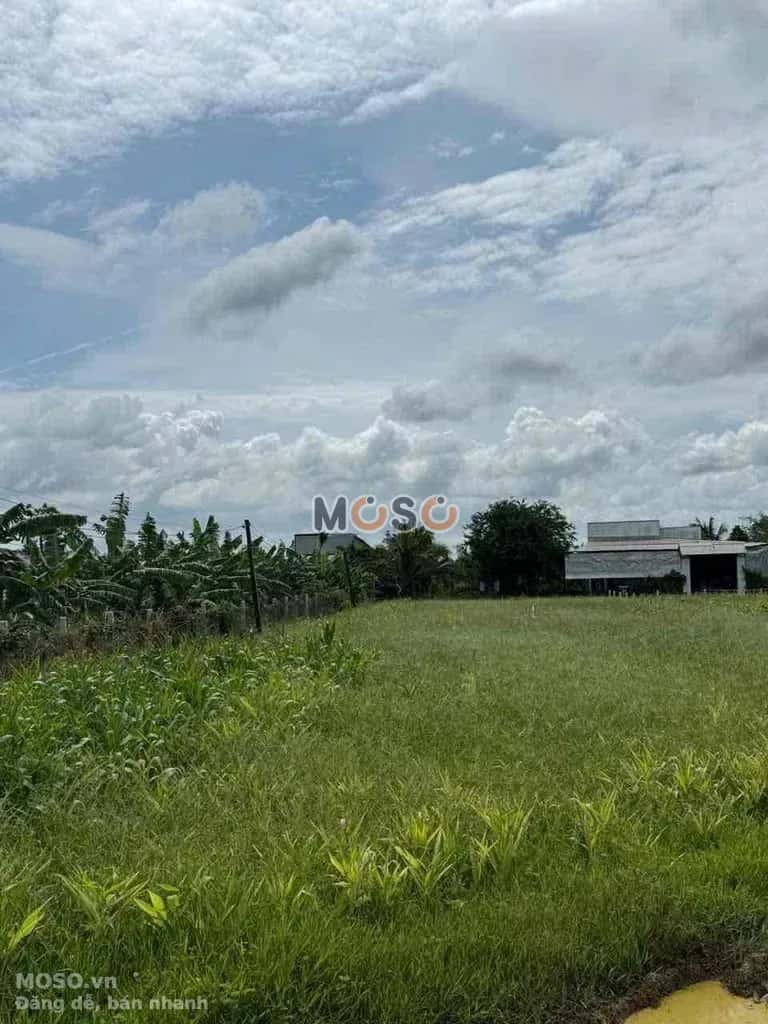 Bán đất Ấp Bến Long Huyện Đức Hòa, Long An – giá 5.8 tỷ - ảnh 2