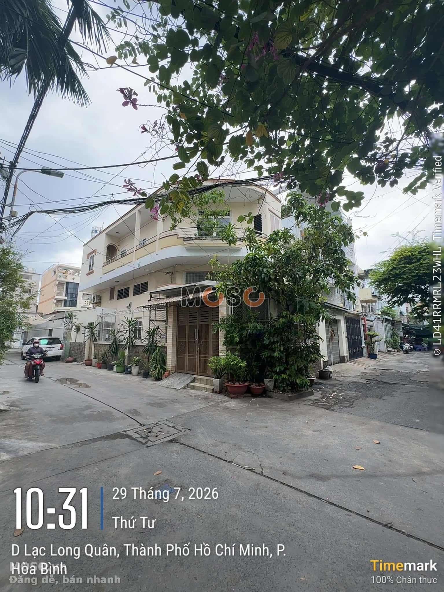 Bán nhà mặt tiền Lạc Long Quân Quận 11, TP.HCM – 3 phòng ngủ, giá 10.4 tỷ - ảnh 2