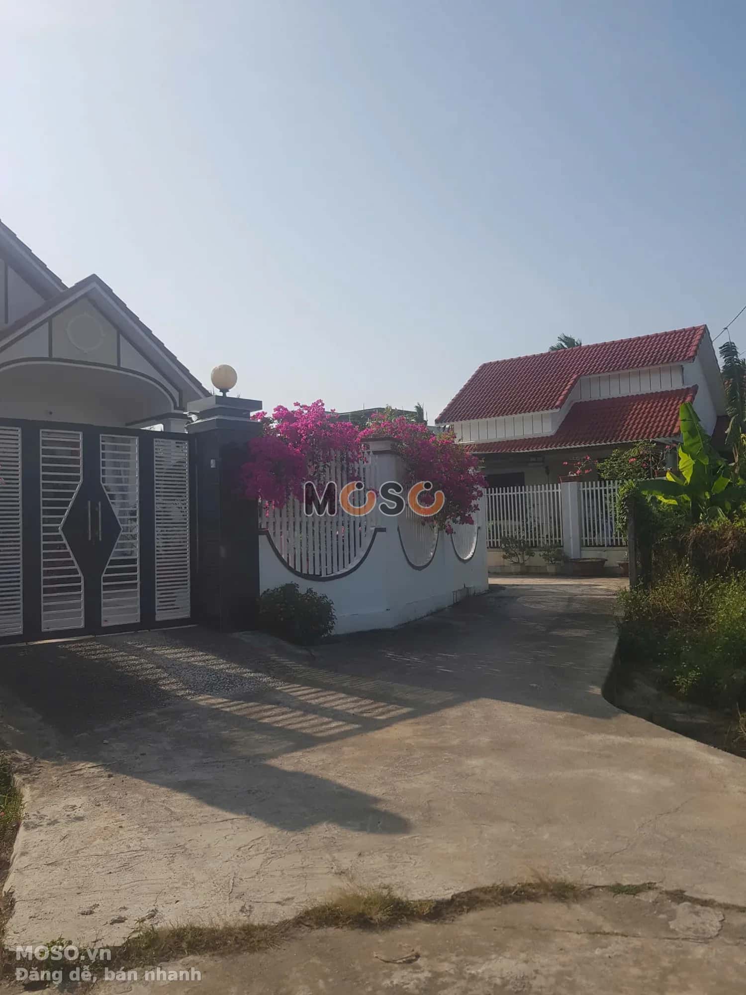 Bán đất thôn Phước Trạch  Huyện Diên Khánh, Khánh Hòa – giá 1.3 tỷ - ảnh 4