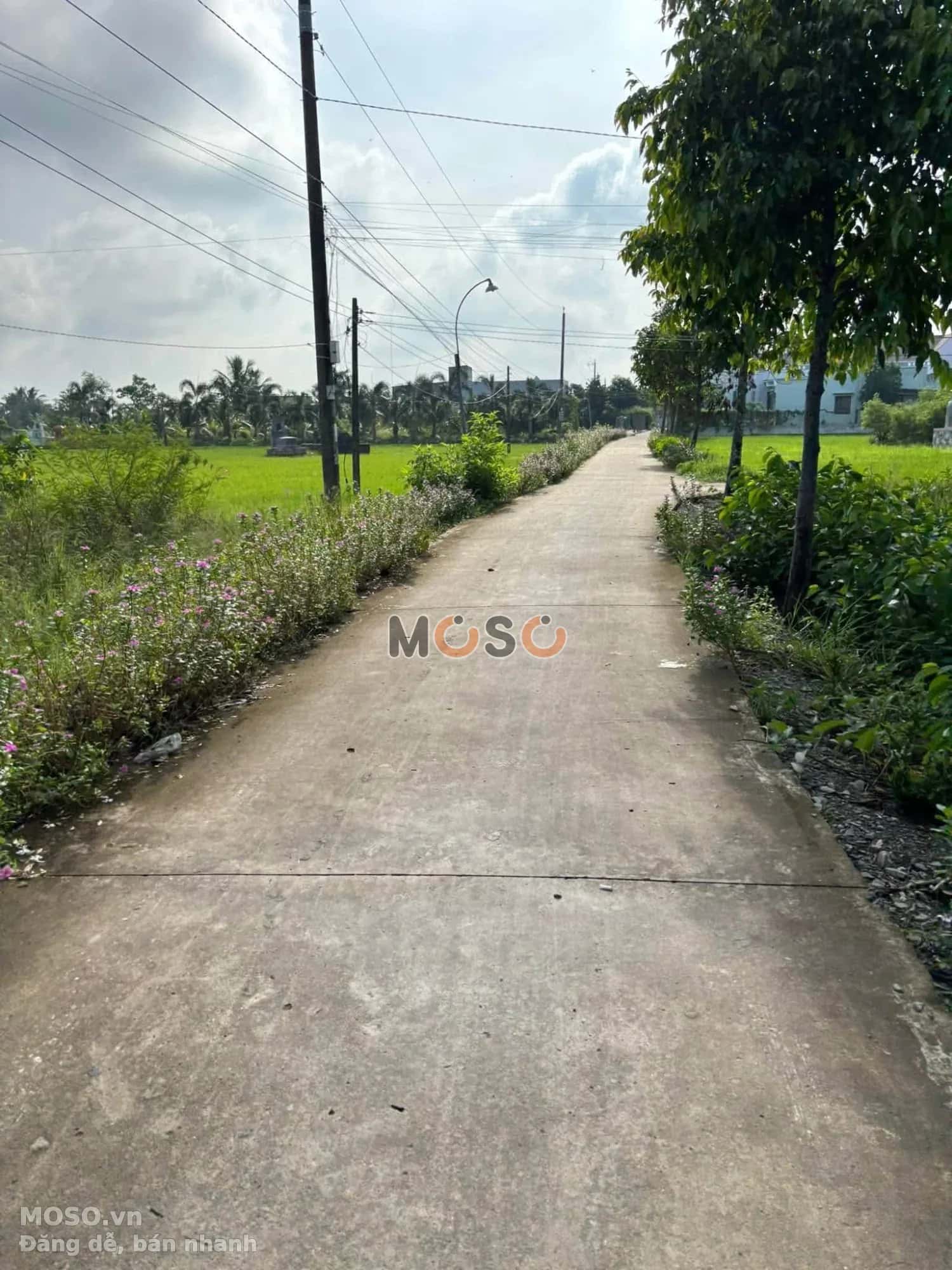 Bán đất đường Ấp Bà Chủ  Huyện Cần Đước, Long An – giá 800 triệu - ảnh 2
