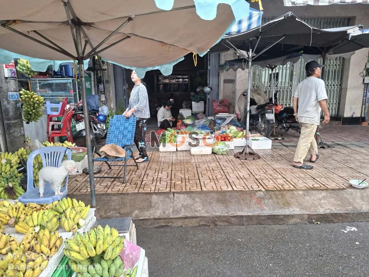 Bán nhà mặt tiền Bạch Vân Quận 5, TP.HCM – giá 27.5 tỷ - ảnh 3