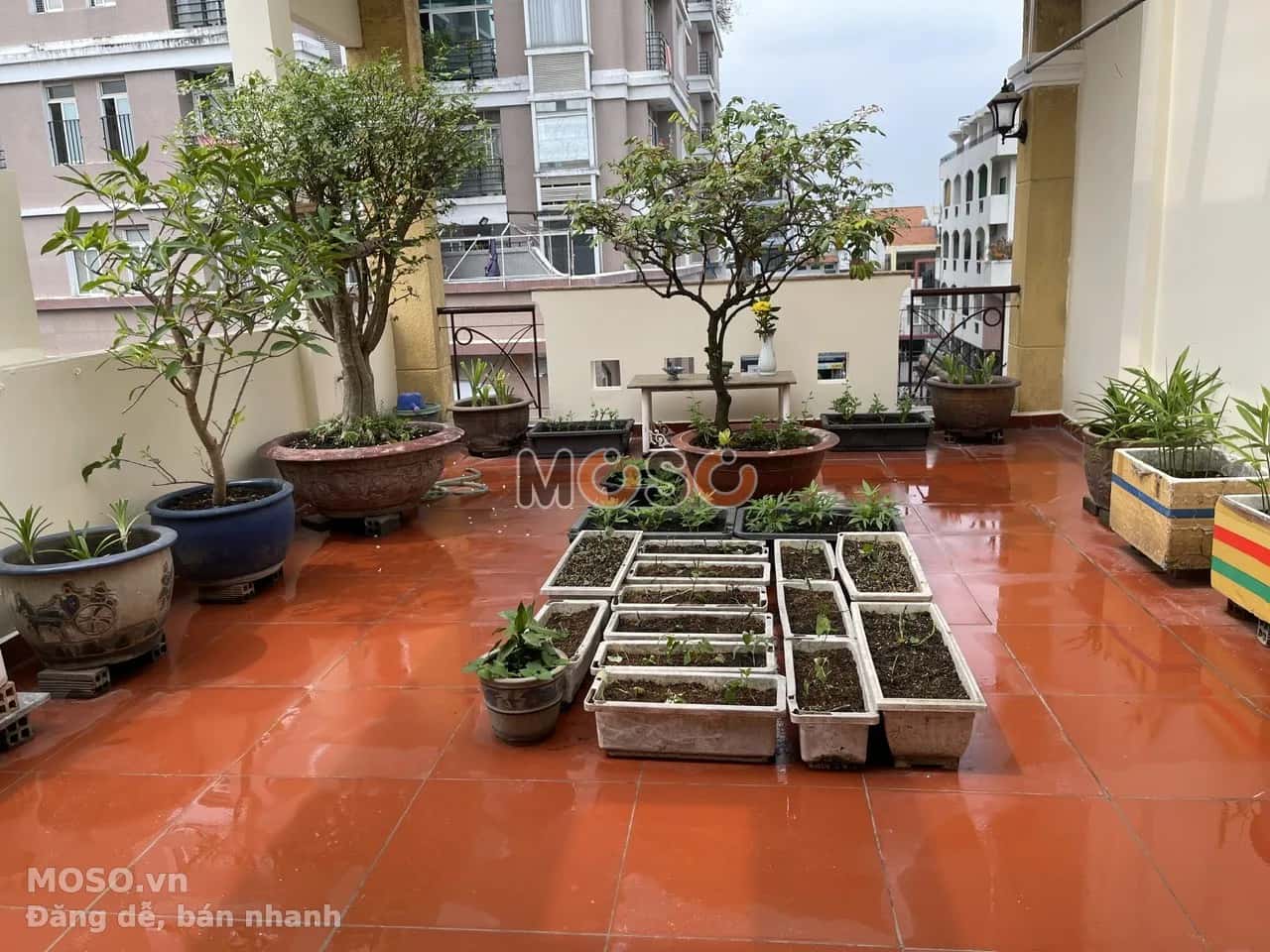 Bán nhà hẻm Lý Thường Kiệt Quận 11, TP.HCM – giá 22 tỷ - ảnh 4