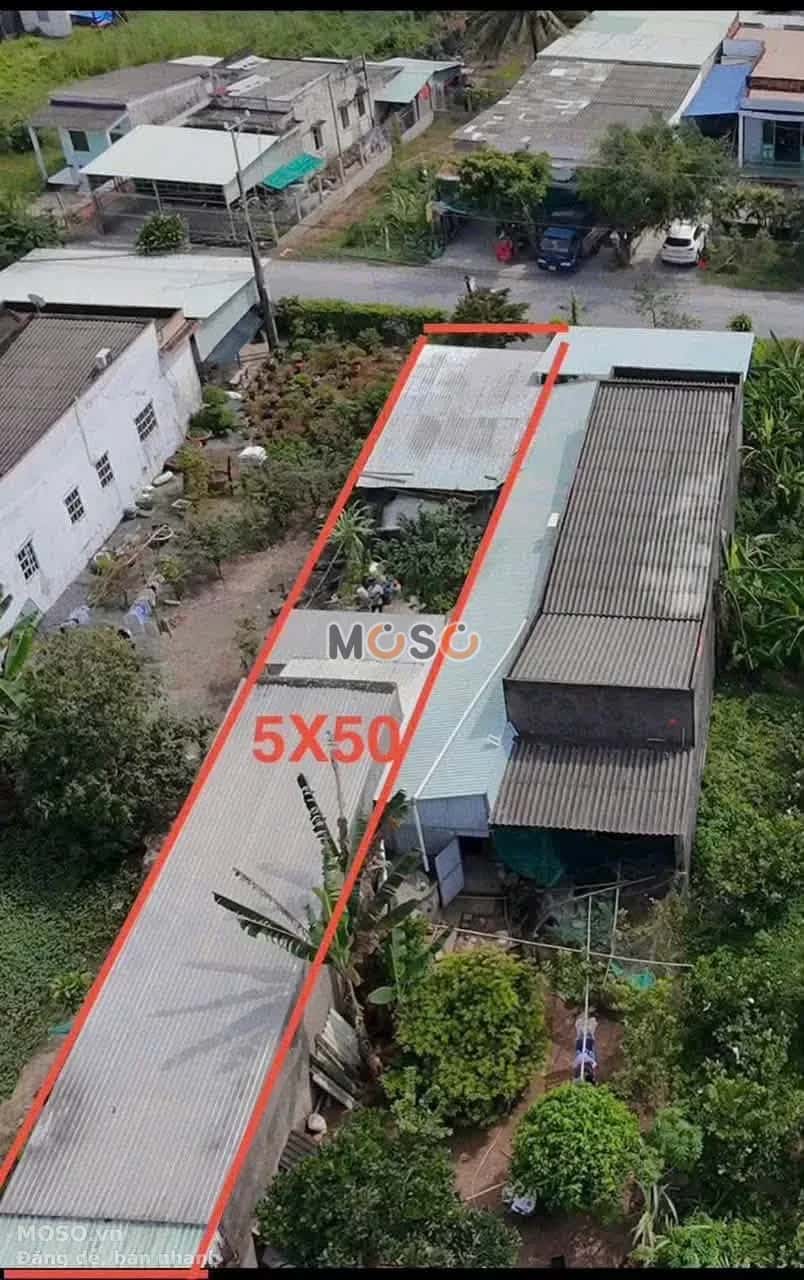 Bán nhà mặt tiền Lê Văn Tưởng Thành phố Tân An, Long An – 2 phòng ngủ, giá 1.6 tỷ - ảnh 4