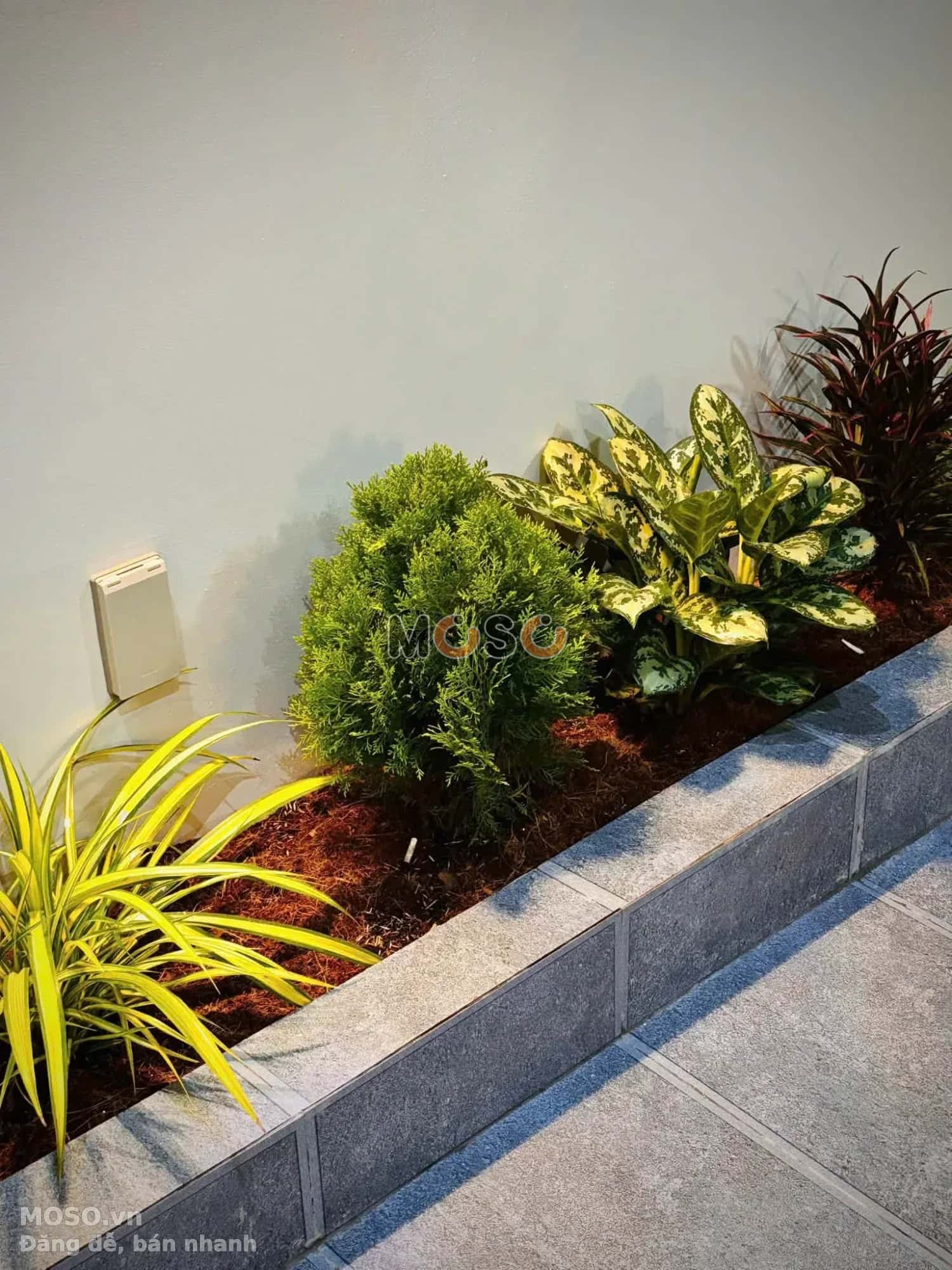 Bán nhà mặt tiền DX 05 Thành phố Thủ Dầu Một, Bình Dương – 3 phòng ngủ, giá 3.9 tỷ - ảnh 9