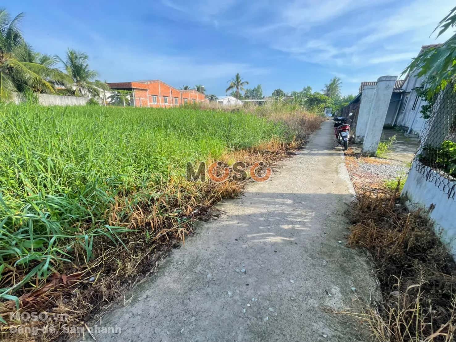 Bán đất đường 827b Huyện Châu Thành, Long An – giá 320 triệu - ảnh 2