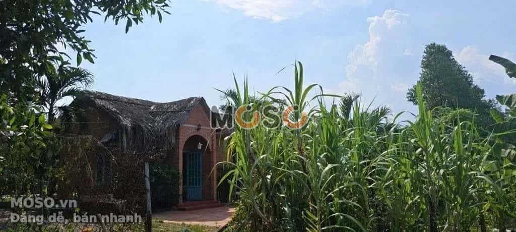 Bán đất Tân Hiệp 44 Thành phố Tân Uyên, Bình Dương – giá 10.4 tỷ - ảnh 2