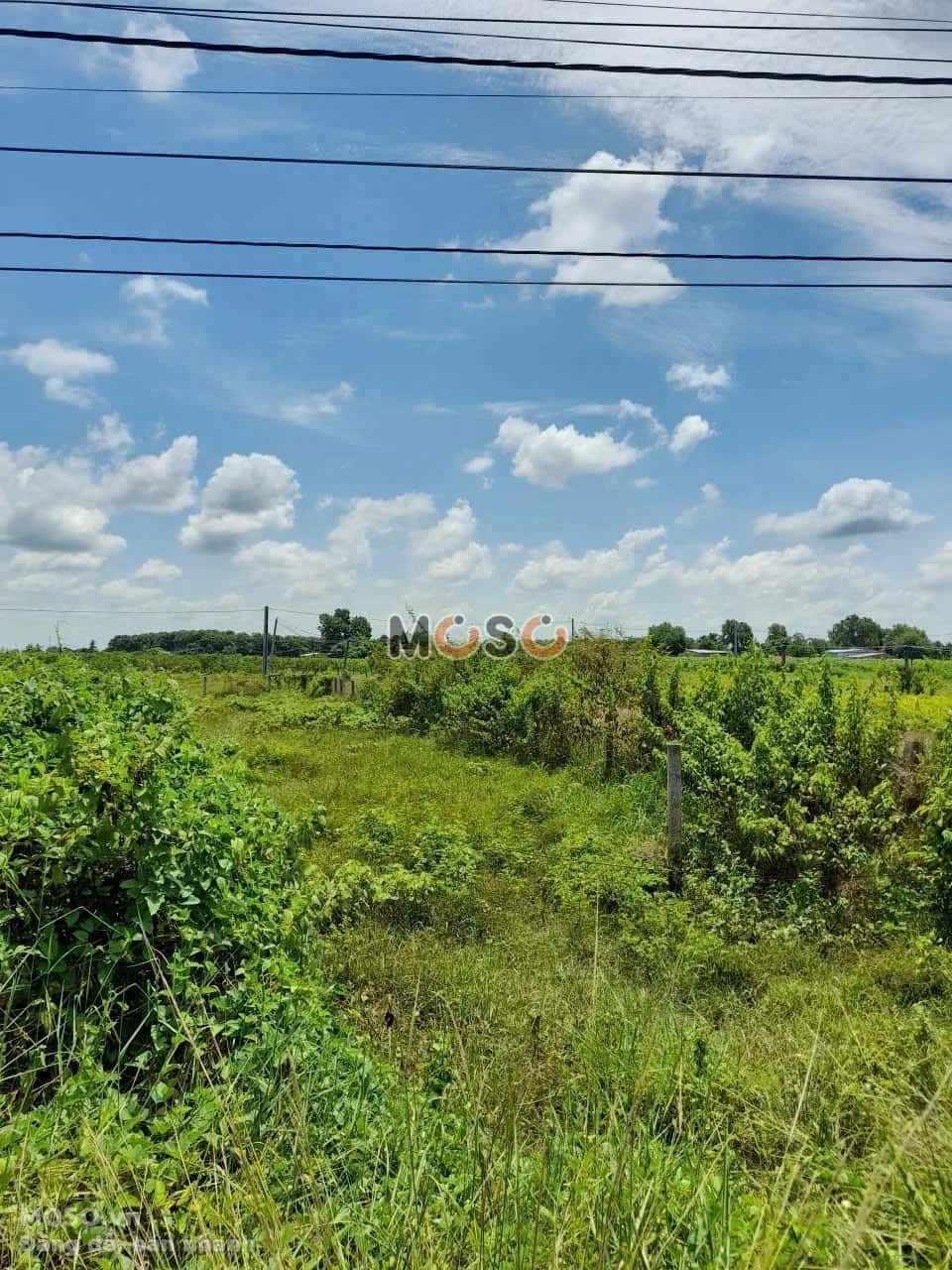 Bán đất đường lộ 12A Thành phố Tây Ninh, Tây Ninh – giá 900 triệu - ảnh 1