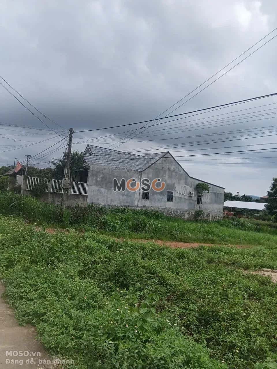 Bán đất Thôn 12, nhánh QL14 Huyện Cư Jút, Đắk Nông – giá 3.5 tỷ - ảnh 2