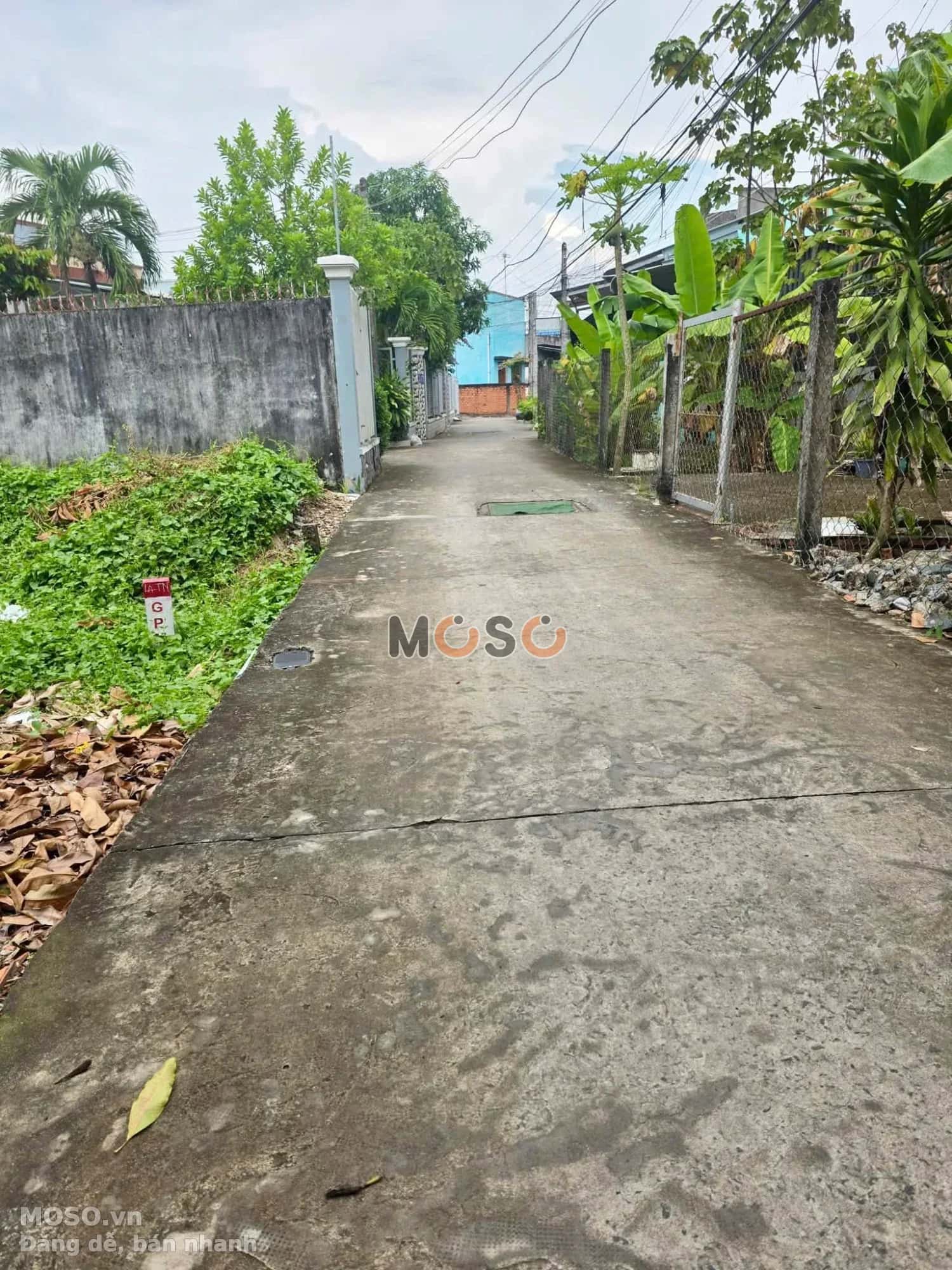 Bán đất hẻm đường Nguyễn Đình Chiểu Thành phố Tân An, Long An – giá 1.3 tỷ - ảnh 2