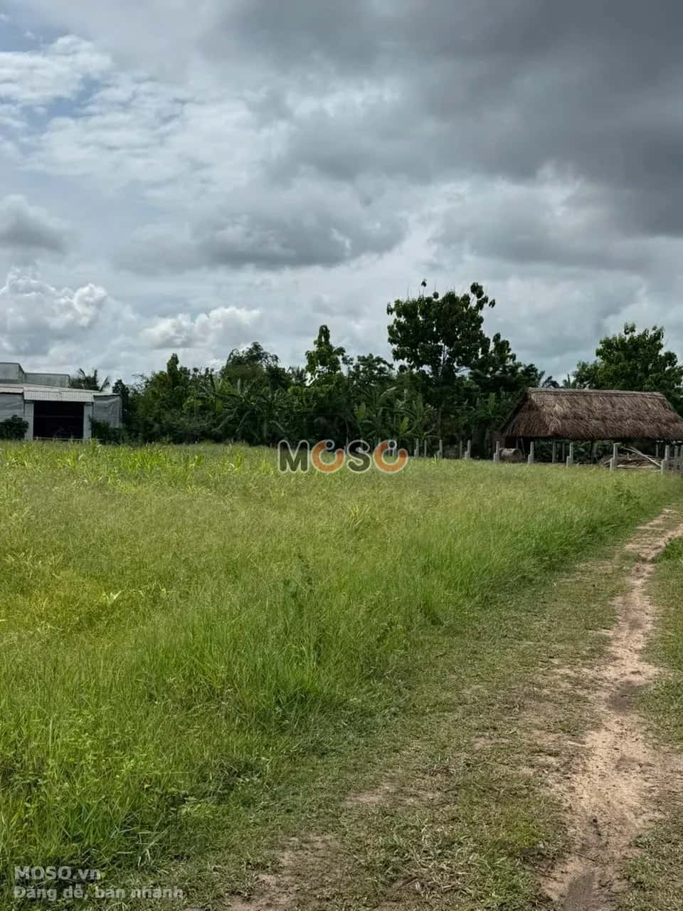 Bán đất Ấp Bến Long Huyện Đức Hòa, Long An – giá 5.8 tỷ - ảnh 3