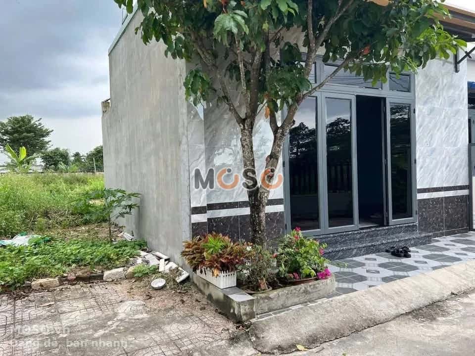 Bán đất Thôn Tân Ro  Thành phố Phú Mỹ, BRVT – giá 1 tỷ - ảnh 3