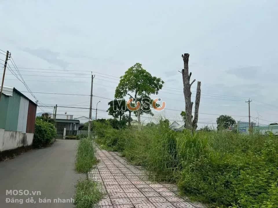 Bán đất Thôn Tân Ro  Thành phố Phú Mỹ, BRVT – giá 1 tỷ - ảnh 2
