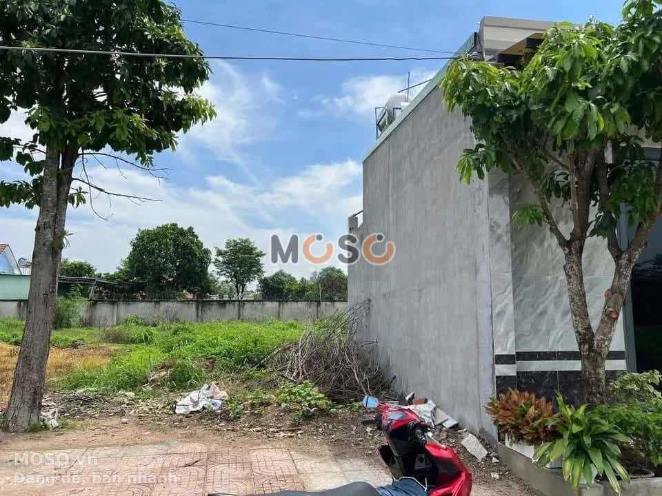 Bán đất Thôn Tân Ro  Thành phố Phú Mỹ, BRVT – giá 1 tỷ - ảnh 1