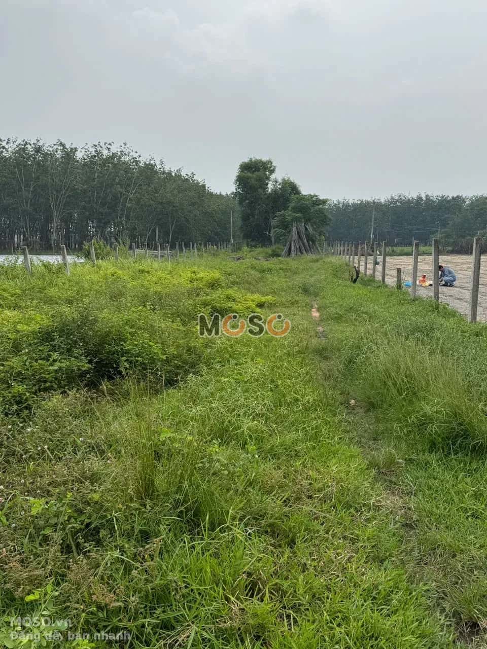 Bán đất Âp Bến Long Huyện Đức Hòa, Long An – giá 6.7 tỷ - ảnh 5