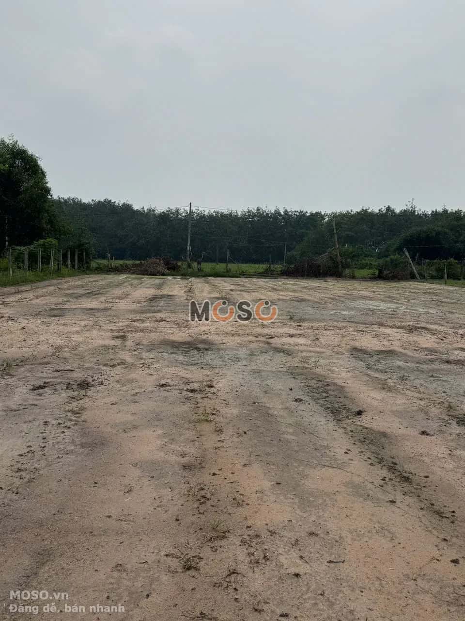 Bán đất Âp Bến Long Huyện Đức Hòa, Long An – giá 6.7 tỷ - ảnh 3