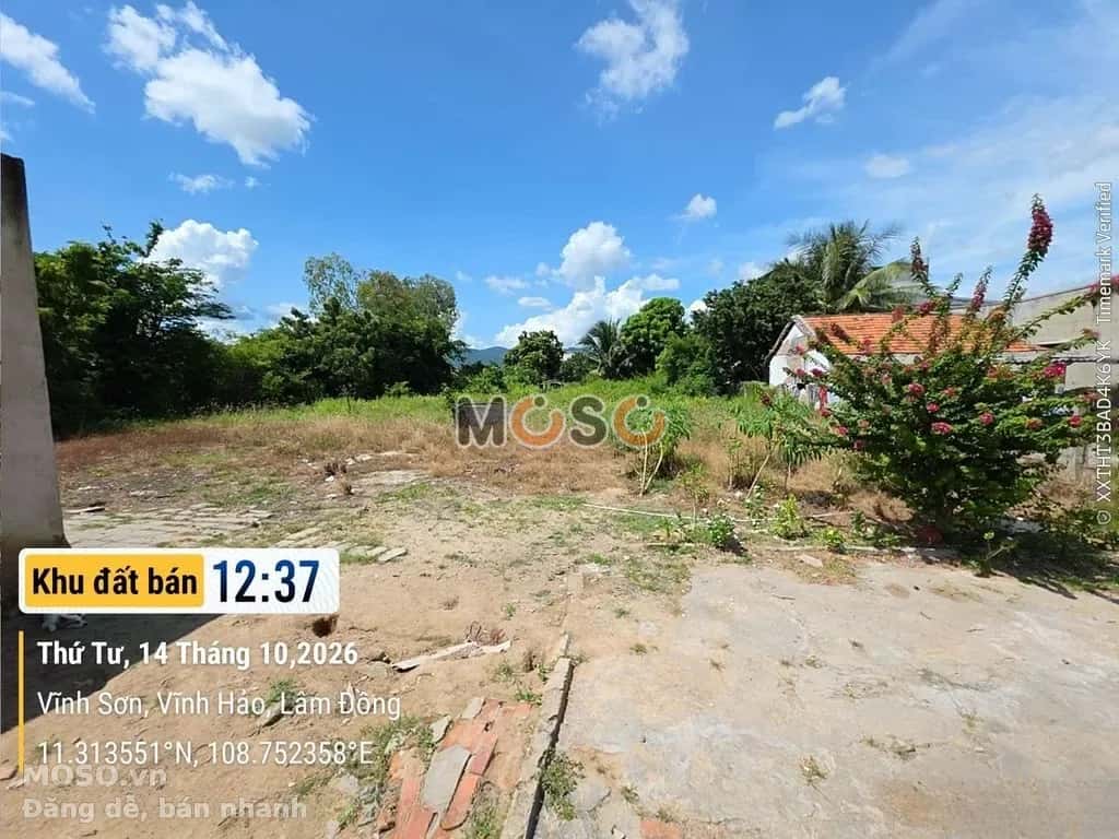 Bán đất Đường Quốc lộ 1 Huyện Tuy Phong, Bình Thuận – giá 1.5 tỷ - ảnh 1