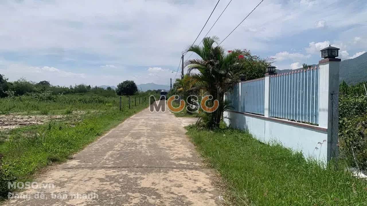 Bán đất thôn Tân Khánh Huyện Diên Khánh, Khánh Hòa – giá 569 triệu - ảnh 2